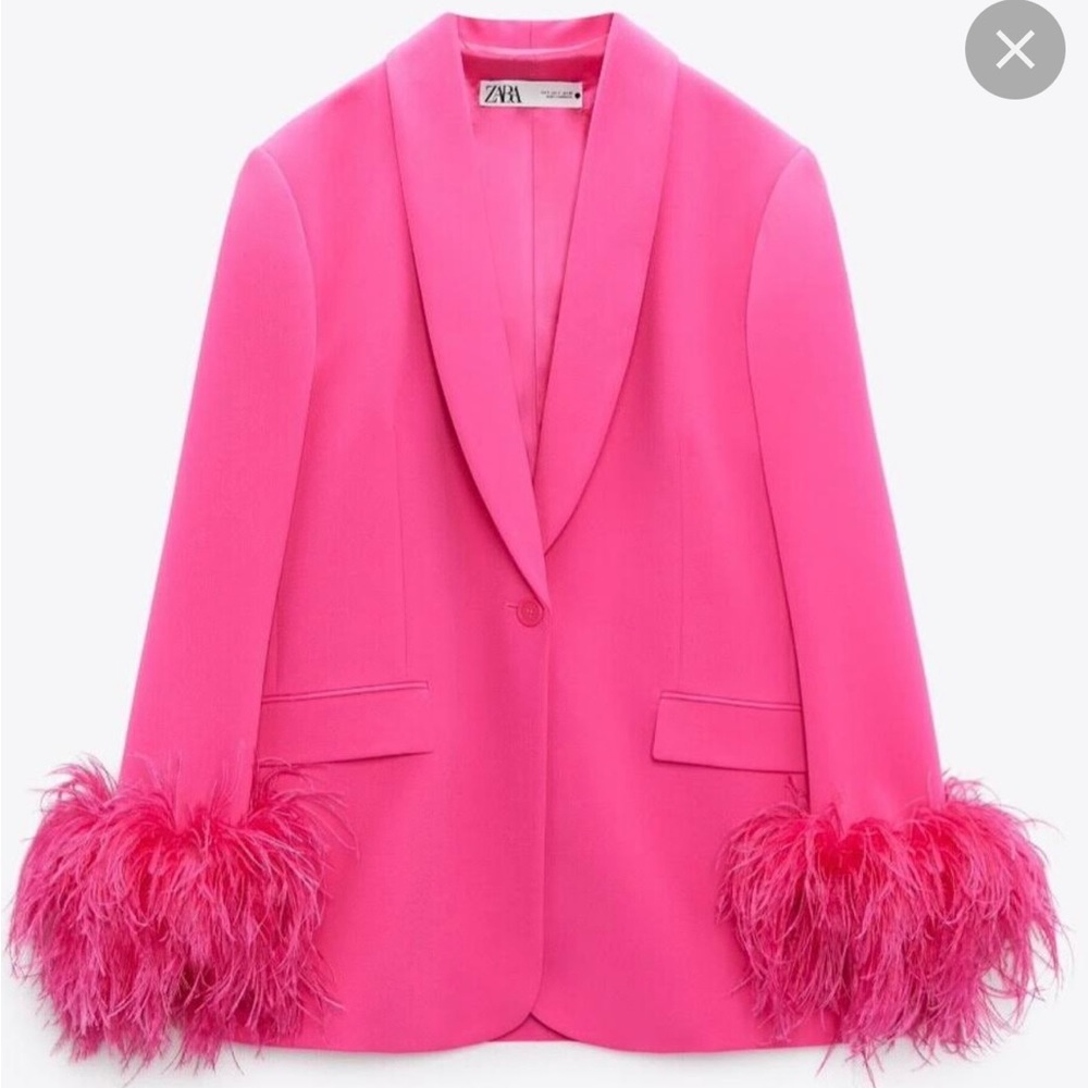 Zara Pink Feathered Blazer